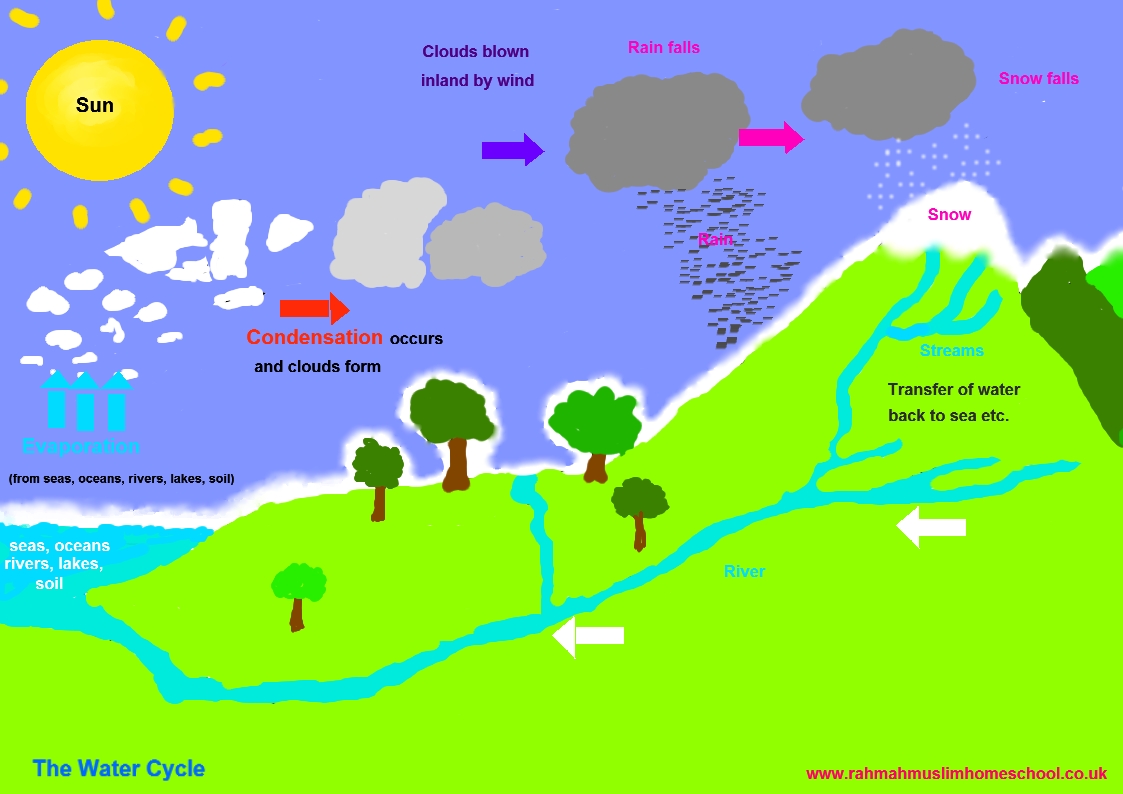 Science; The Water Cycle  The Islamic Home Education Resources Inside Water Cycle Worksheet Middle School