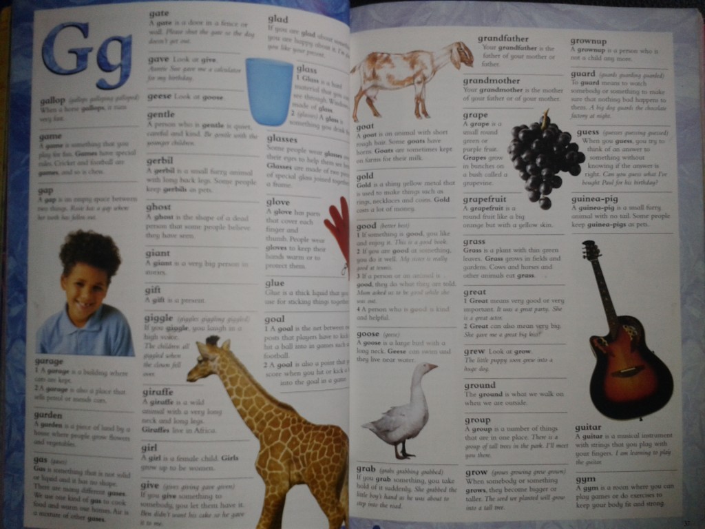 Dictionary2