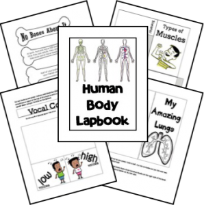 human-body-unit-and-lapbook cover